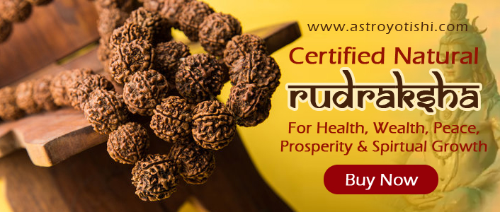 Buy Rudraksha from astrojyotishi.com