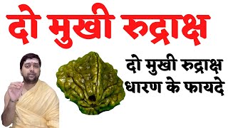 Do Mukhi Rudraksha